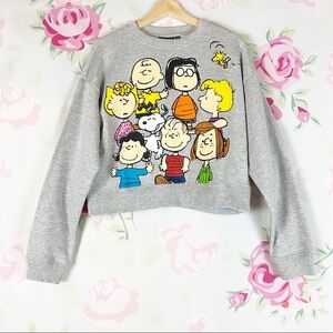 NEW Peanuts Character Gray Pullover Crop Sweater